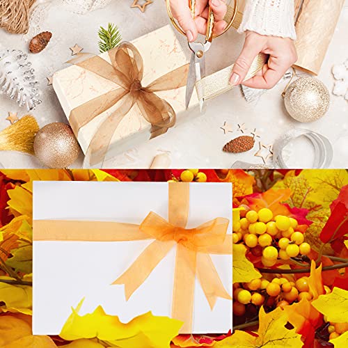 Autumn Sheer Chiffon Ribbon - 200 Yards (1'' Wide)