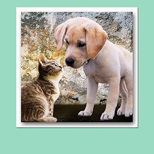 25 Pack of Black Cardstock Scrapbook Paper