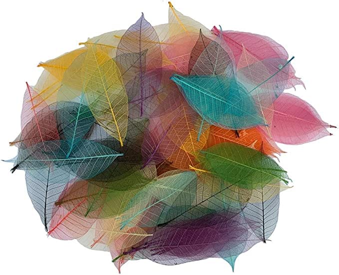 100 Pcs Natural Skeleton Leaves for DIY Scrapbooking