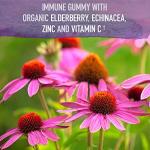 Elderberry Gummies for Immune Support - Vegan Formula