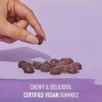 Elderberry Gummies for Immune Support - Vegan Formula