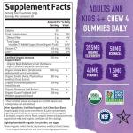 Elderberry Gummies for Immune Support - Vegan Formula