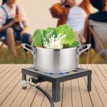 Single Burner Cast Iron Camping Stove