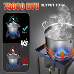Outdoor Propane Single Burner Camping Stove