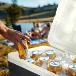 30 Quart Hard Cooler with Sturdy Carry Handle