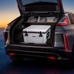 VEVOR 52 Quart Insulated Portable Hard Cooler