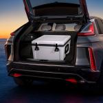 52 Quart Insulated Portable Hard Cooler