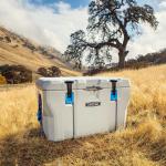 77 Qt. High Performance Light Gray Cooler