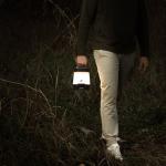 Ozark Trail 1000 Lumen LED Camping Lantern