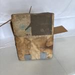 Ray-O-Vac 303 Sportsman Lantern with Battery