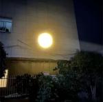 Compact 1000 lm Rechargeable UV Flashlight with Modes