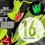 Brunner Comet Car Camping Tent, Spacious and Easy