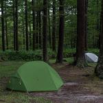 Naturehike 2-Person Ultralight Camping Tent in Green