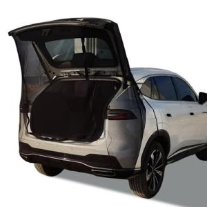 SUV Tailgate Mesh Screen for Car Camping