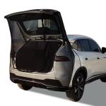 SUV Tailgate Mesh Screen for Car Camping