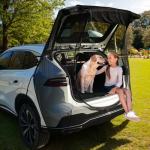 SUV Tailgate Mesh Screen for Car Camping