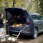SUV Tailgate Mesh Screen for Car Camping