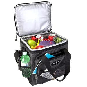 Koolatron 12V Portable Electric Cooler Bag