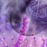 Kawaii Cat Sleeping Bag for Kids - Waterproof