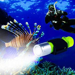 BlueFire 1200 Lumen Waterproof Diving Flashlight