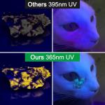 Rechargeable UV Light Torch for Stain Detection