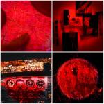 WAYLLSHINE High Power Red LED Flashlight