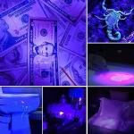 Portable UV Torch with Clip - 395nm Blacklight