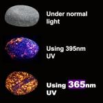 Portable 10W UV Light Torch for Pet Stains