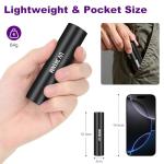 Portable 10W UV Light Torch for Pet Stains