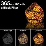 Tisuokae 50W UV Light Torch with LCD Screen