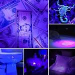 TheaPro UV Mini Flashlight Torch - 2 Pack