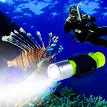 BlueFire 1200 Lumen Waterproof Diving Flashlight