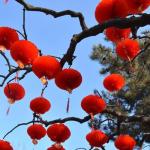 20 Red Paper Lanterns for Festivals and Events
