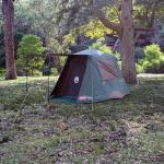 Coleman Instant Up 4-Person Gold Tent
