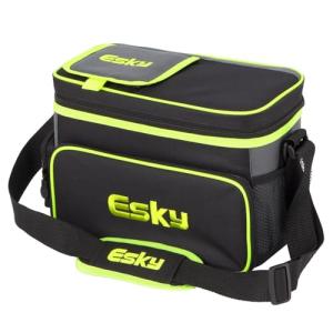 Esky 16 Can Cooler with Ice Brick