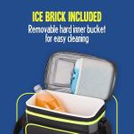 Esky 16 Can Cooler with Ice Brick