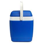 Decor Day Trip 10L Cooler in Blue