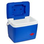 Decor Day Trip 10L Cooler in Blue