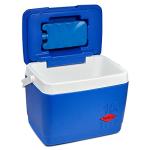 Decor Day Trip 10L Cooler in Blue