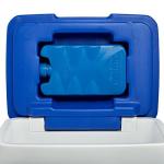 Decor Day Trip 10L Cooler in Blue