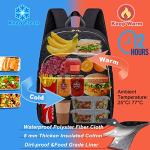 Insulated Lunch Cooler Backpack for Camping and Hiking