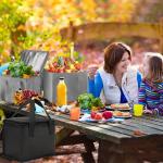 2 Pack Insulated Cooler and Grocery Bags