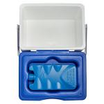 Blue Lunch Mate Cooler, 6 Liter Capacity