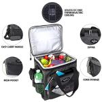 Koolatron 12V Portable Electric Cooler Bag