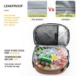 Insulated Cooler Backpack for Beach and Picnic