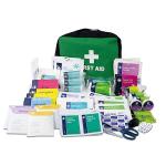 Lewis-Plast 309-Piece Survival First Aid Kit