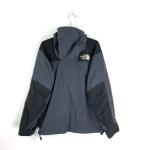 Men’s Size L The North Face Gore-Tex Parka