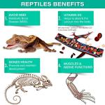 Gargeer Calcium Powder with Vitamin D3 for Reptiles