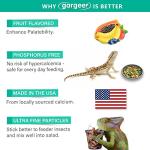Gargeer Calcium Powder with Vitamin D3 for Reptiles