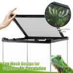 10"x10"x14" Glass Terrarium for Small Reptiles